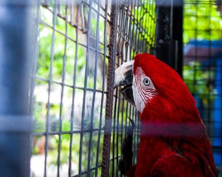 Storage Cage types and classifications - Limitations and Failure Modes