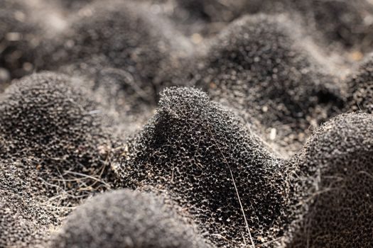 top titanium sponge companies 2026 - Japanese Producers: Toho Titanium and OSAKA Titanium