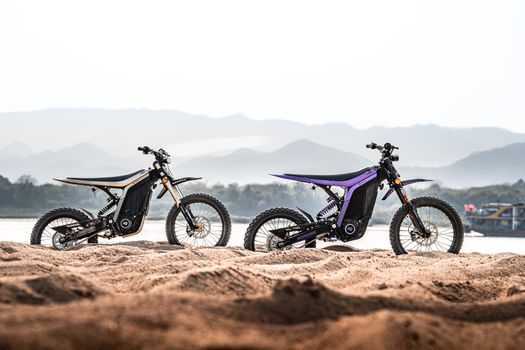 top EV traction motor companies 2026 - Low-Power and Two-Wheeler Coverage