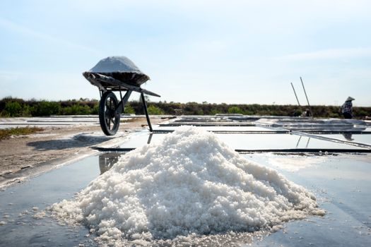 top sodium-ion battery companies 2026 - 2026 Comparison Matrix of Main Sodium Product Lines