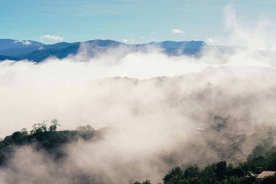 Weather Station vs Air Quality Monitor: Spec-First Selection Map