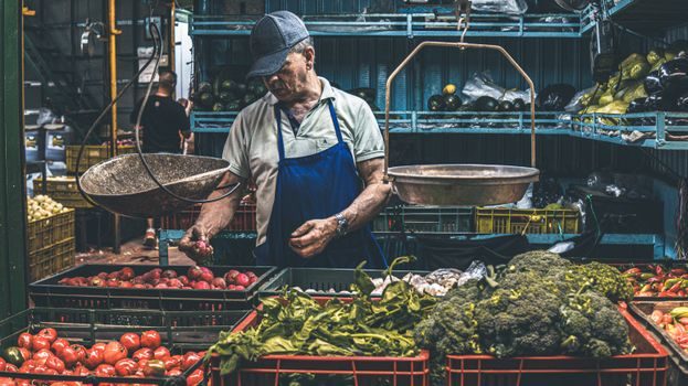 Weighing Indicator price and cost guide - Who Should Buy What, and Who Should Walk Away