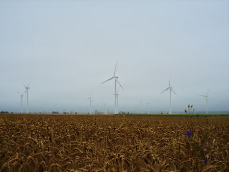 wind turbine tier 1 suppliers 2026 - Spec Levers and MOQ Economics