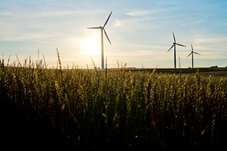 Wind Turbine Tier-1 Suppliers 2026: OEM Map, kW Bands, and FOB Price Levers