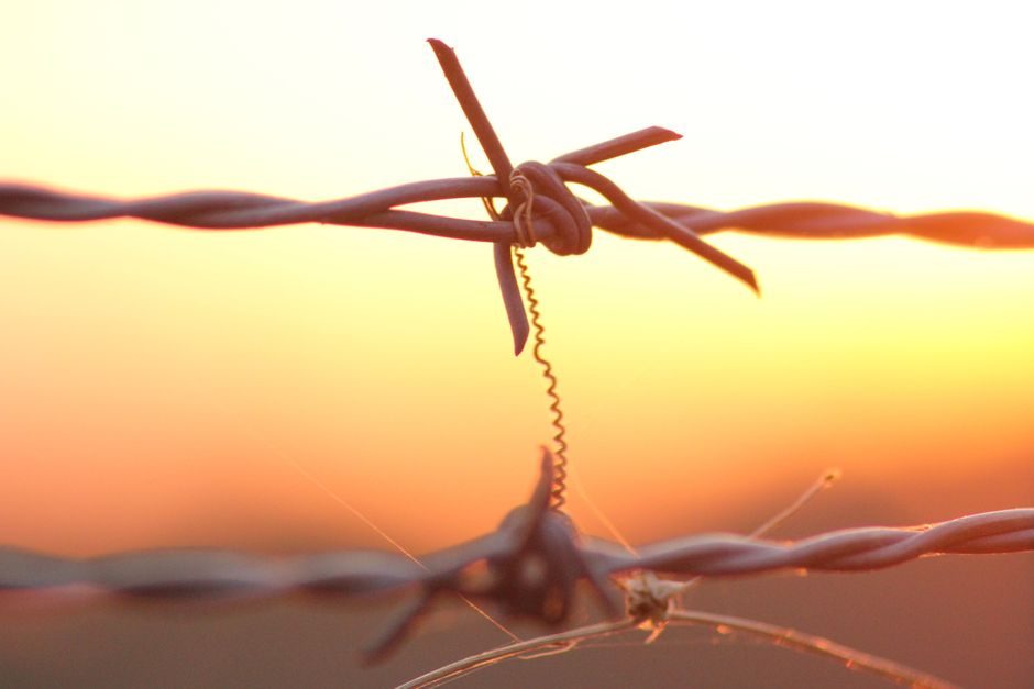 Wire Form Part Selection: Five-Gate Spec Map for Buyers