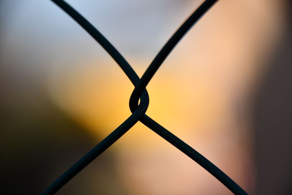 Wire Mesh Panel Price 2026: Material, Weave and Sourcing Tier Cost Guide