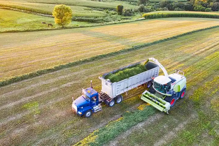 Agricultural Aerial Work Truck Selection: Low-Rise Orchard Platforms vs Tall-Tree Boom