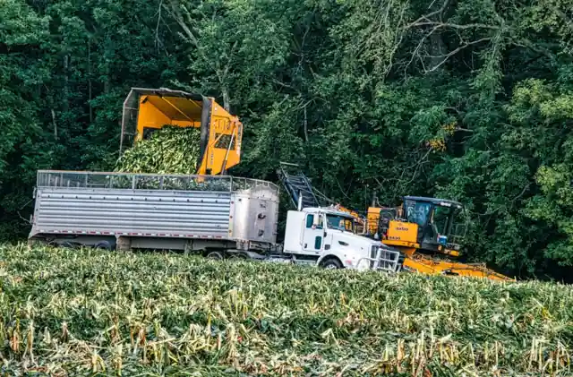Agricultural Truck Crane Selection: Capacity, Chassis and Boom Match for Farm Use