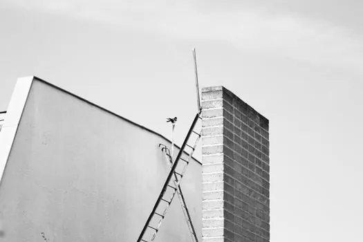Aluminum Ladder selection for landscaping - Where a Landscaping Aluminum Ladder Fails: Soft Ground, Sap, and Aluminum-on-Alu