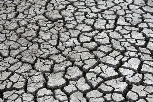 Automatic Level selection for landscaping - Drought-aware timing: why grading work is still active in 2026