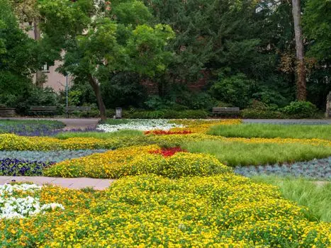 Automatic Level selection for landscaping - Selection criteria summary for the 2026 buying decision