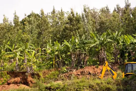 Backhoe Loader selection for pipeline construction - What a Backhoe Loader Will Not Do on a Pipeline Job