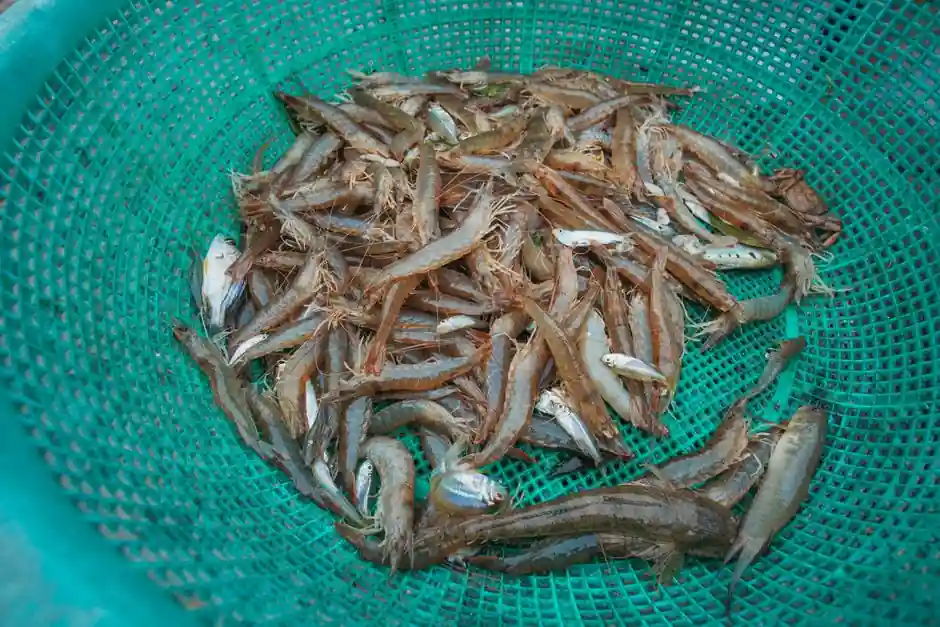 Basket Strainer Suppliers and Manufacturers: 2026 Spec and Sourcing Map