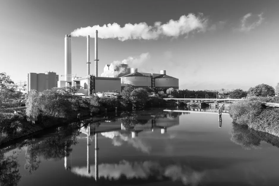 Best Limit Switch for Pulp and Paper Mills: 2026 Spec Map