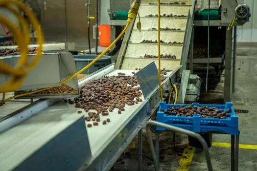 bucket elevator certification checklist for packaging line retrofit - Food-grade and pharmaceutical material evidence