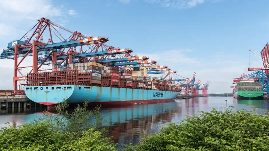 Bucket Elevator Selection for Port Logistics: Spec Map