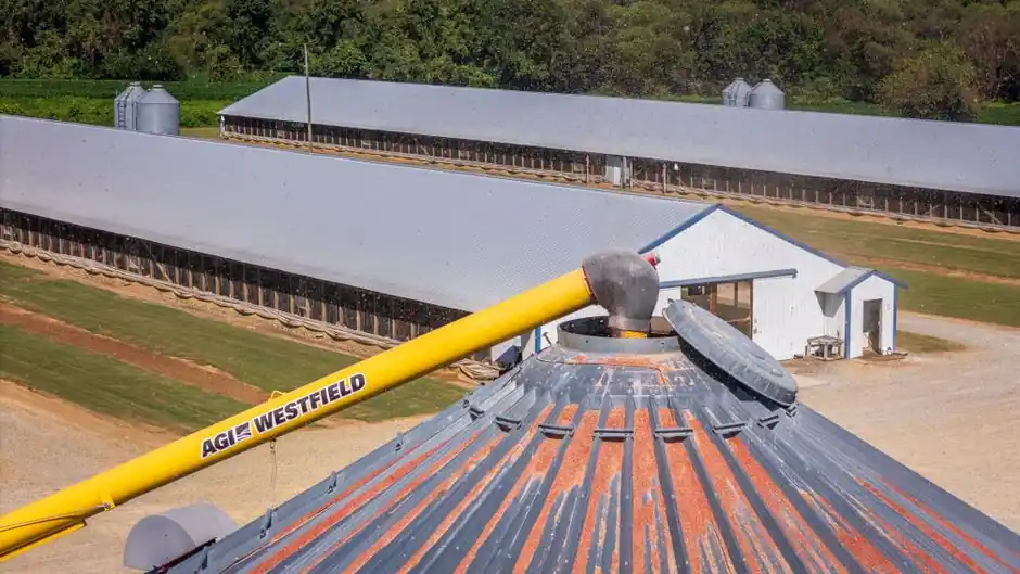 Bucket Elevator vs Conveyor Chain: Selection Map for Vertical and Horizontal Bulk Handling