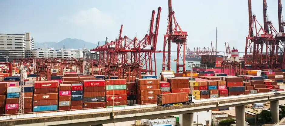 Case Packing Machine Selection for Port Logistics: Throughput, Board, and Buffer Gates
