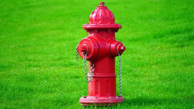 Check Valve advantages and disadvantages - Selection Rules and Standards Anchors