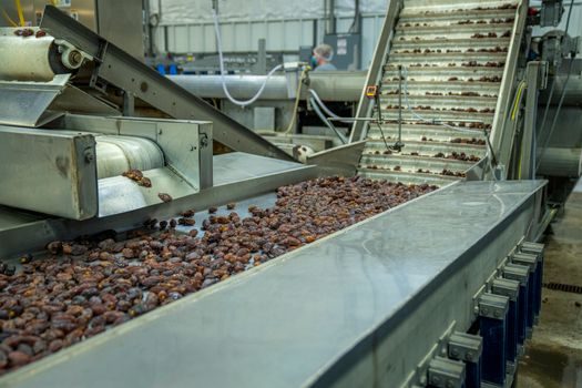Mesh Belt Conveyor selection for cold chain logistics - Drive, controls and CIP integration