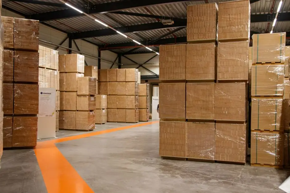 Cold Chain Pallet Rack Selection: Steel, Finish, and Geometry Gates