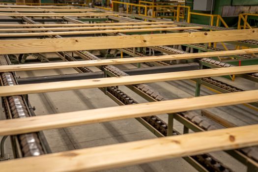 Roller Conveyor selection for cold chain logistics - Comparison: gravity vs chain-driven vs motorised roller in cold rooms