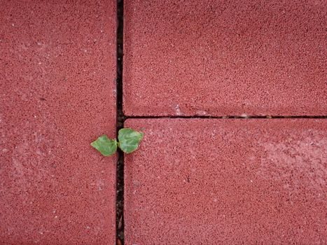 Concrete Admixture selection for schools - Supplier landscape: domestic vs. import for K-12 and higher-ed pours