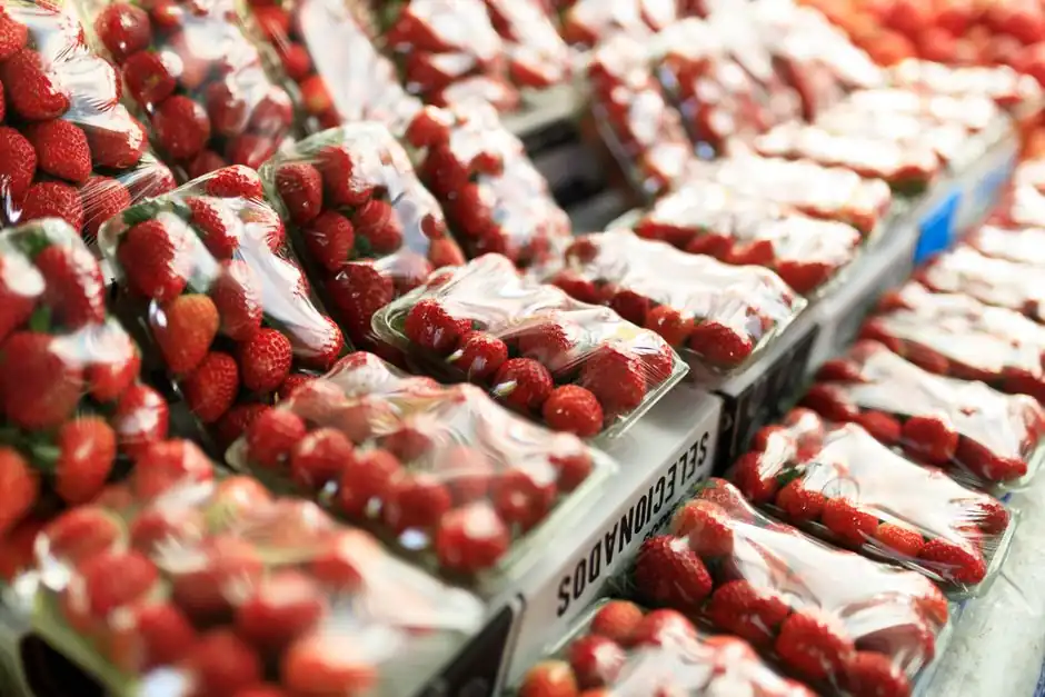 Cycloidal Reducer Sizing for Packaging Lines: 2026 Spec Map