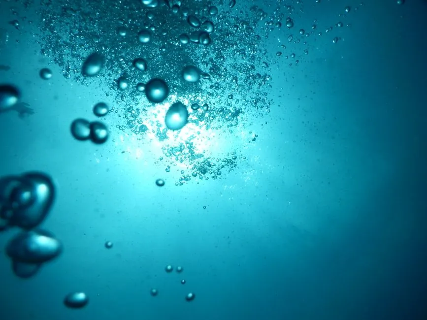 Dissolved Oxygen Meter Selection: Sensor, IP and Accuracy Criteria