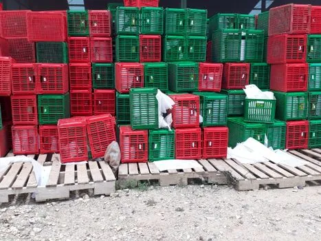 electric pallet truck certification checklist for packaging warehouse - Real use-case: a packaging-line dock in a 2000 m² warehouse