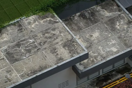 EPDM Rubber selection for construction - Failure Modes and Constraints to Build Into the Risk Register