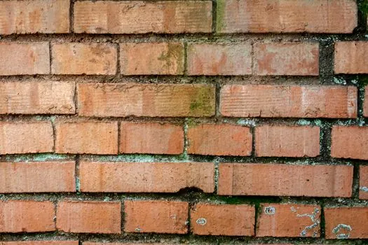 Fired Clay Brick selection for industrial facilities - Who fired clay bricks are for, and where they are the wrong call