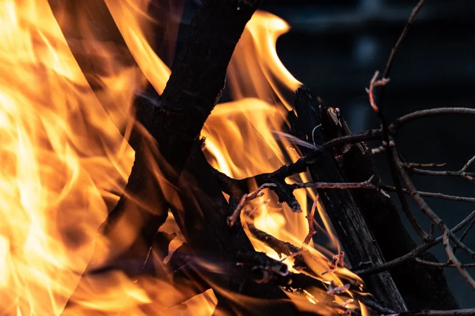 Flame Arrester Sizing and Selection: Deflagration vs Detonation, Gas Group, and Pipe