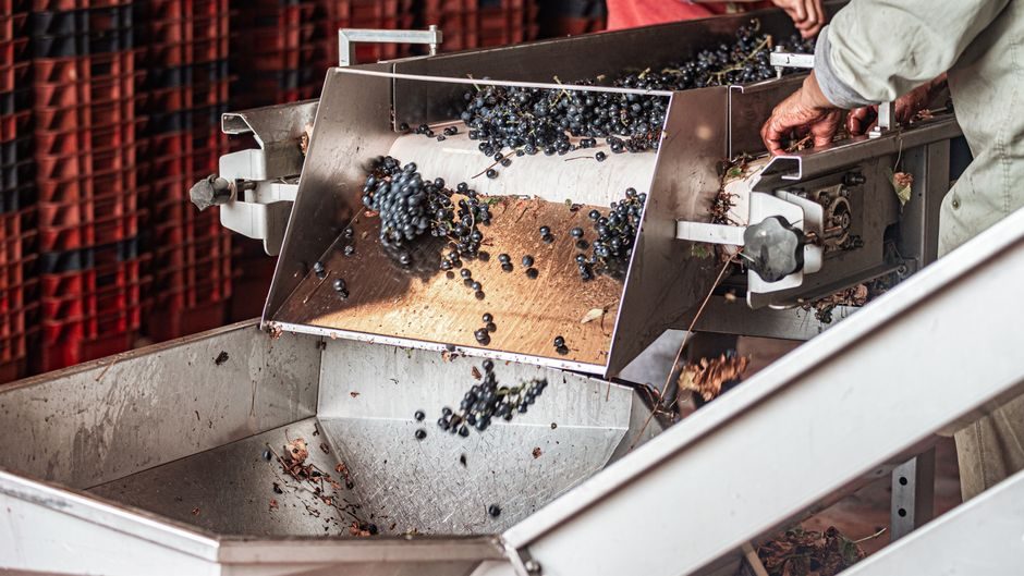 Food Processing Equipment Market 2026: Segment Sizes, Sub-Market Forecasts, and Spec