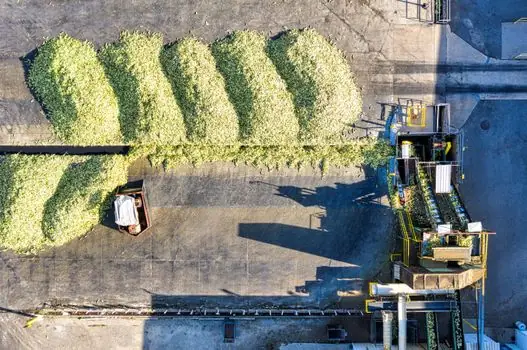 food processing equipment supply chain analysis 2026 - Integration pattern: optical sorting plus robotic forming plus UV-C