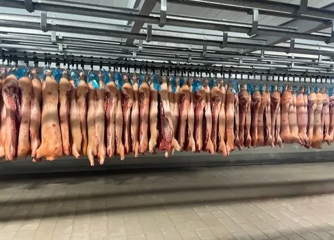 food processing equipment upstream and downstream industries - Process Instrumentation Touching Food Lines