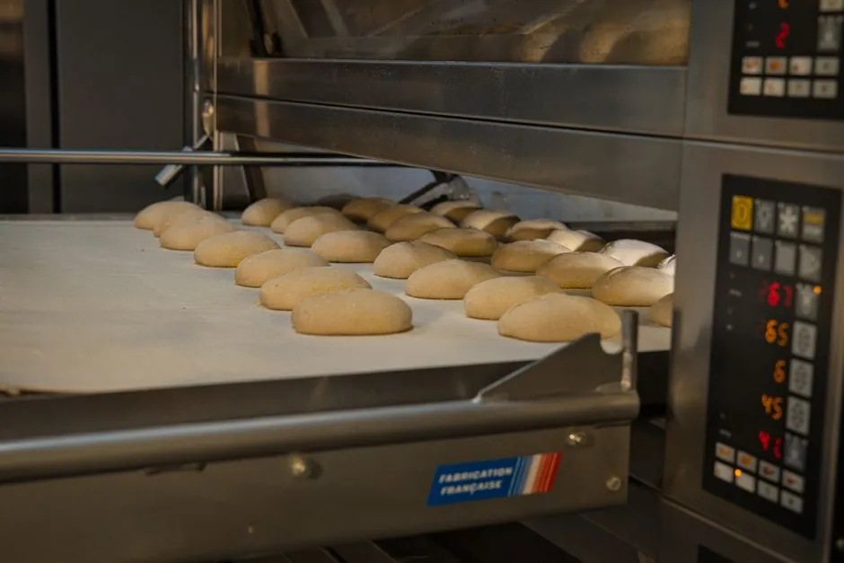 Food Processing Equipment: Upstream Inputs, Downstream Specs, and 2026 Vendor Map