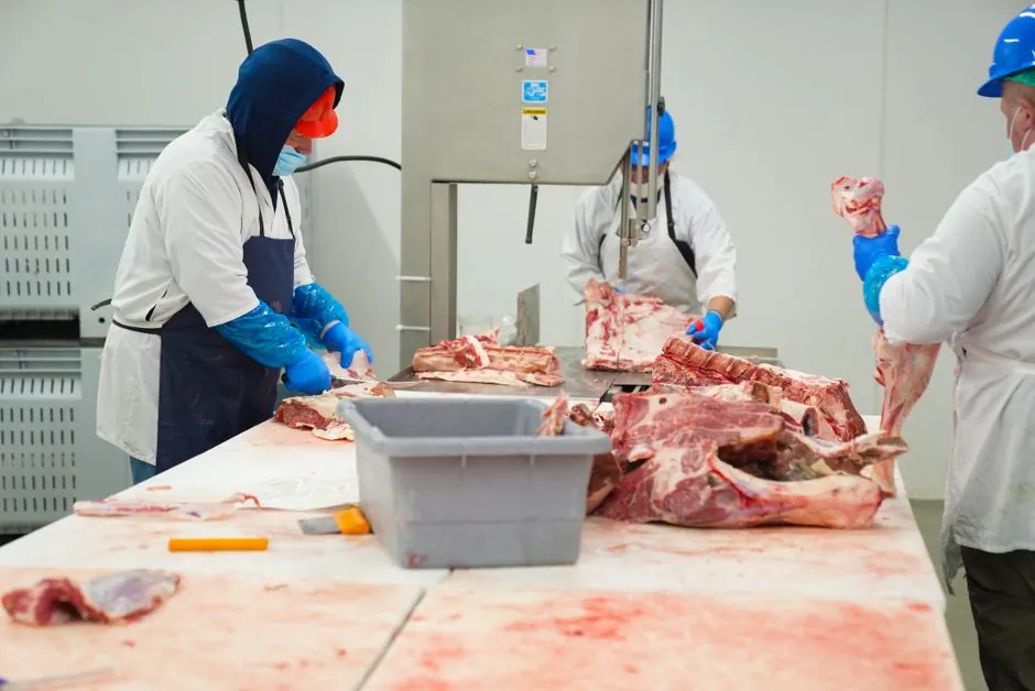 Food Processing Hearing Protectors: Metal-Detectable Specs, dB Ratings, and Compliance