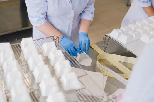 Safety Interlock Switch selection for food processing - Hygienic Mounting and the Washdown Reality