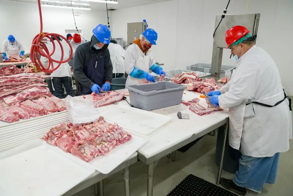 Food Processing Safety Mat Selection: Material, Drainage, and Zone Match