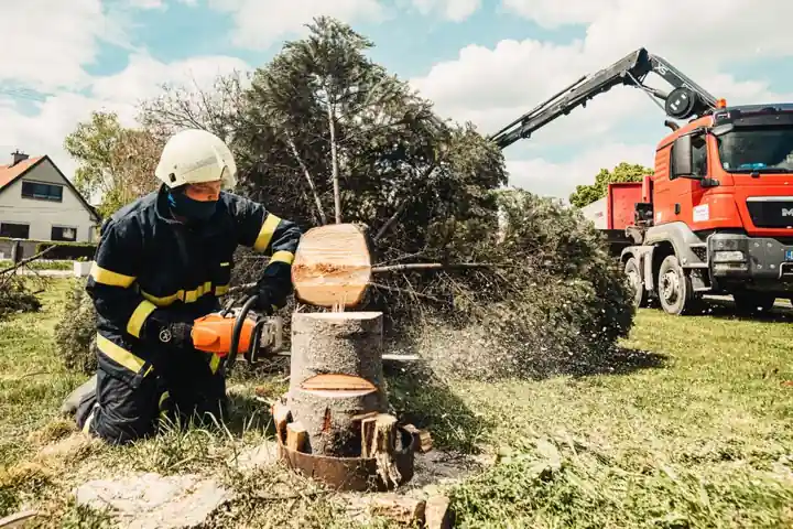 Forestry Aerial Work Truck Spec Path: Height, Boom, Insulation, Basket