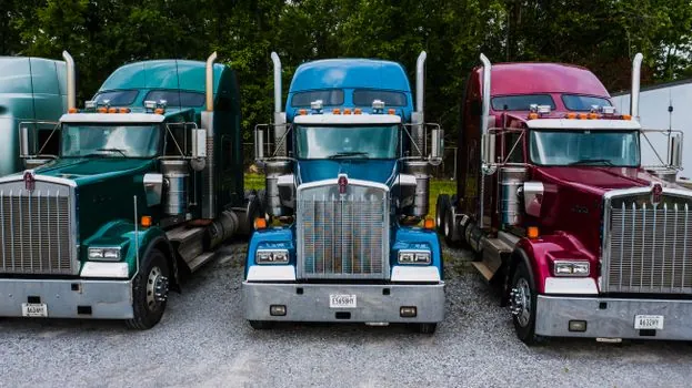 Dump Truck selection for forestry - Forest thinning duties versus heavy log haul: who each truck is for