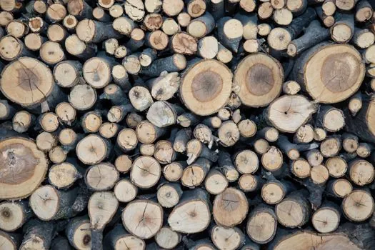 Rough Terrain Forklift selection for forestry - Who a Forestry Rough Terrain Forklift is For, and Who it is Not For