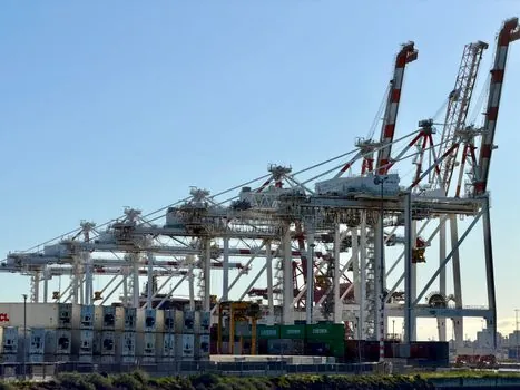 Gantry Crane selection for port and terminal operations - Application Domains Beyond Container Stacking