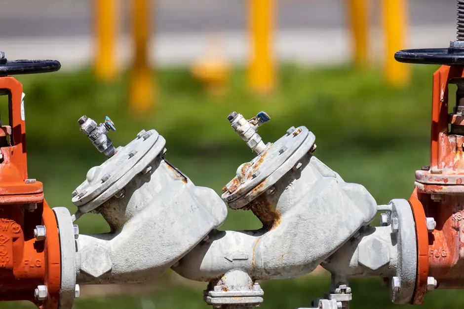 Globe Valve TCO: Cost Drivers Beyond Purchase Price