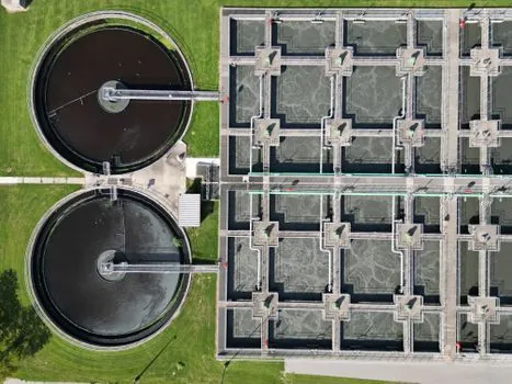 Harmonic Drive Reducer selection for food processing - Failure Modes and Maintenance Windows