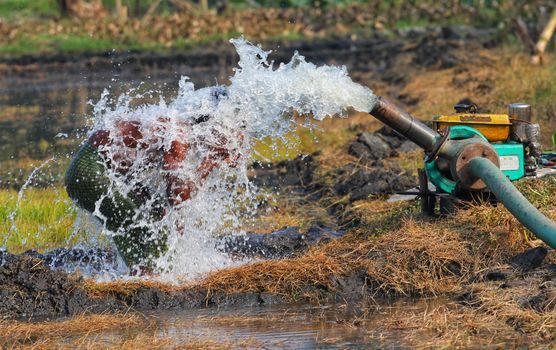 how to choose a Centrifugal Pump - Construction Class: End-Suction, Vertical, and Split-Case