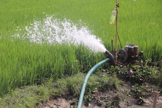 how to choose a Centrifugal Pump - Common Selection Failures and Field Telltales