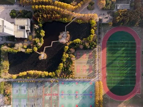 Infrared Line Level selection for landscaping - Working Range, IP Rating, and Outdoor Behavior