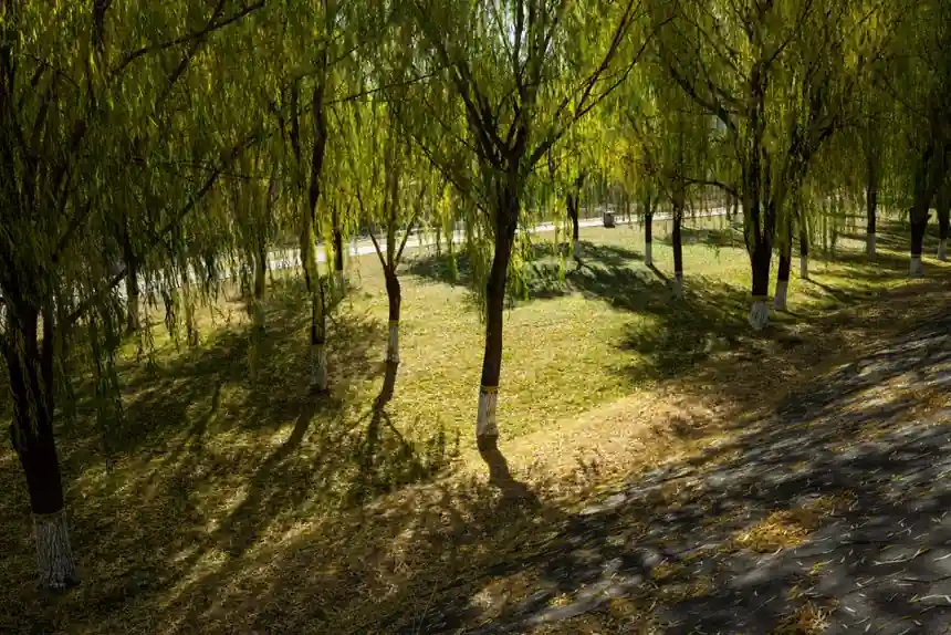 Infrared Line Level Selection for Landscaping: 2026 Spec Map